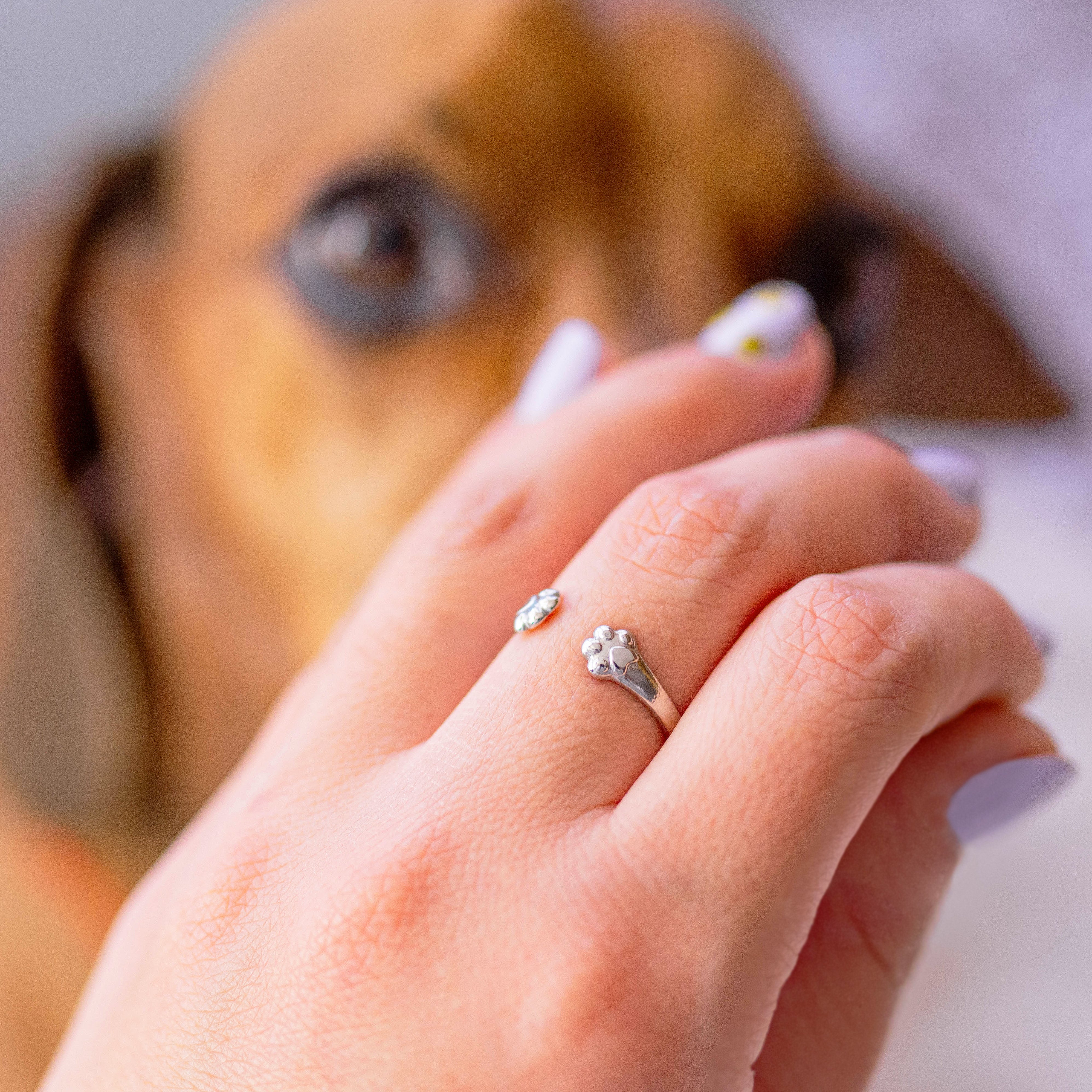 La unión entre animales y personas en forma de anillo